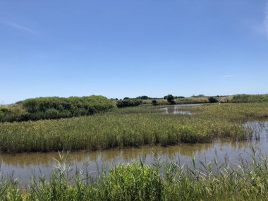 Guerande, Fransa 'nın ünlü tuz bataklıklarının manzarası