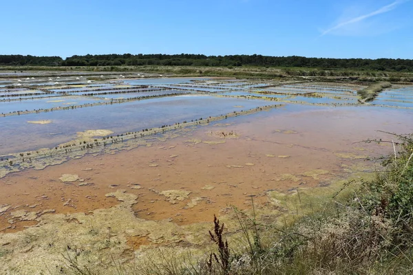 Veduta Delle Famose Saline Guerande Francia — Foto Stock