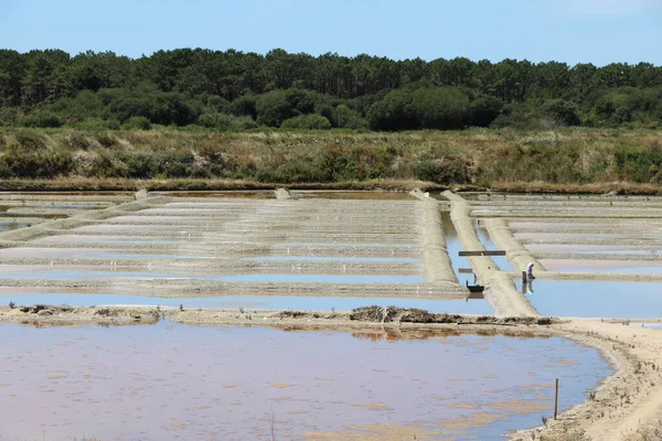 Veduta Delle Famose Saline Guerande Francia — Foto Stock