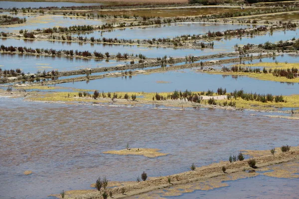 View Famous Salt Marshes Guerande France — Stock Photo, Image