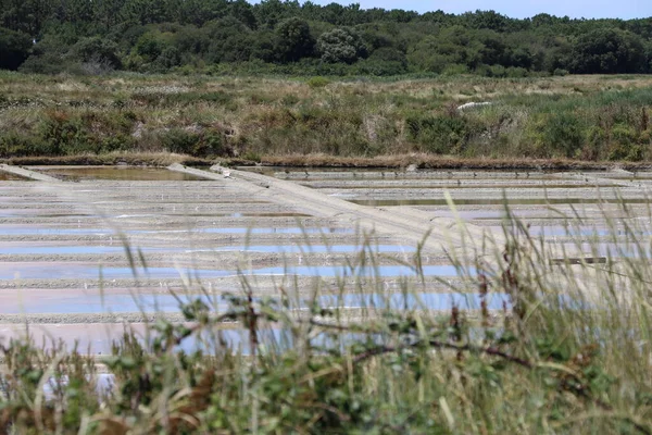 Veduta Delle Famose Saline Guerande Francia — Foto Stock