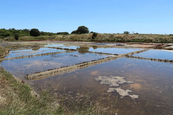 View Famous Salt Marshes Guerande France — Stock Photo, Image