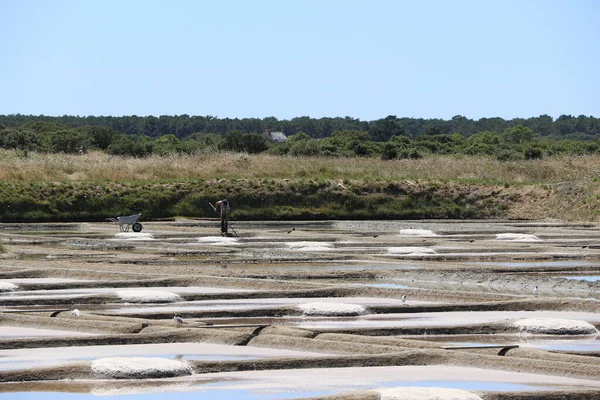 Veduta Delle Famose Saline Guerande Francia — Foto Stock