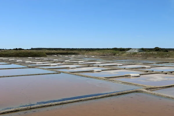 Blick Auf Die Berühmten Salzwiesen Von Guerande Frankreich — Stockfoto