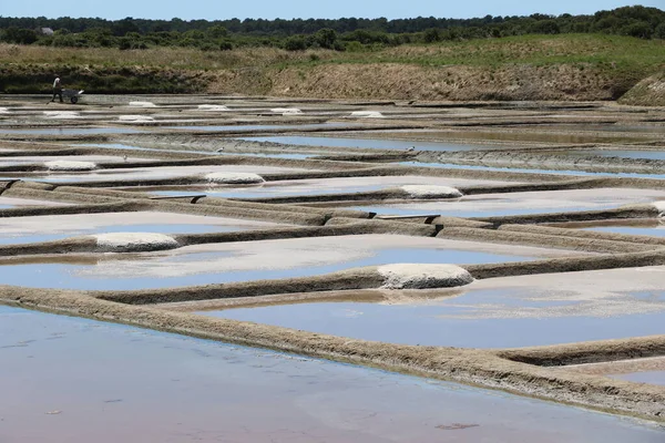 Blick Auf Die Berühmten Salzwiesen Von Guerande Frankreich — Stockfoto