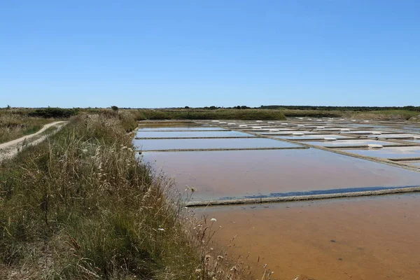 View Famous Salt Marshes Guerande France — Stock Photo, Image