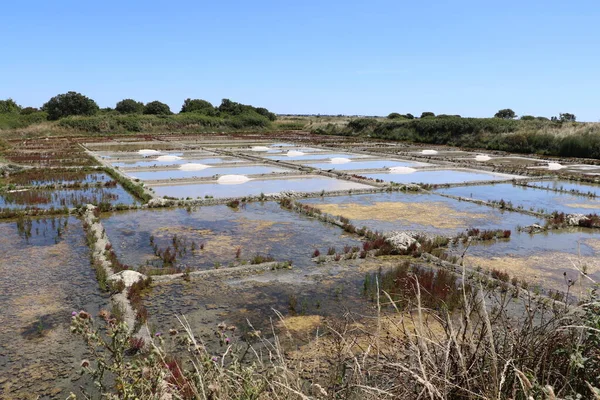 Veduta Delle Famose Saline Guerande Francia — Foto Stock