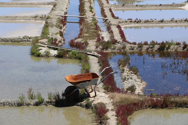 View Famous Salt Marshes Guerande France — Stock Photo, Image