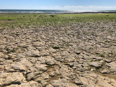 Sainte-Marie-de-Re Plajı