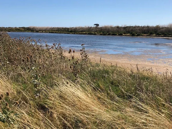 Ile-de-Re, Fransa 'nın tuz bataklıklarının manzarası