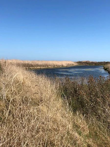 Blick Auf Die Salzwiesen Der Ile Frankreich — Stockfoto