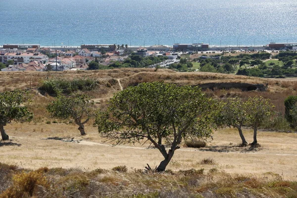 Widok Miasto Costa Caparica Portugalia — Zdjęcie stockowe