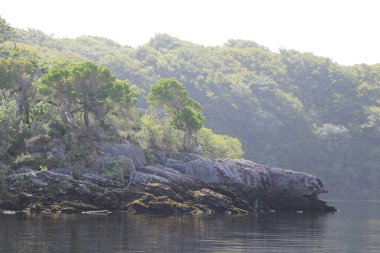 Killarney Ulusal Parkı, İrlanda