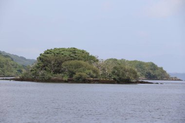 Killarney Ulusal Parkı, İrlanda