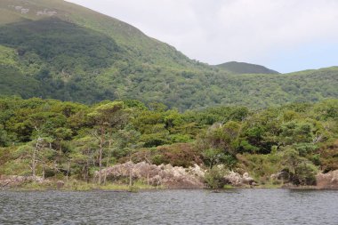 Killarney Ulusal Parkı, İrlanda