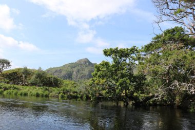 Killarney Ulusal Parkı, İrlanda