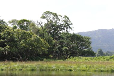 Killarney Ulusal Parkı, İrlanda