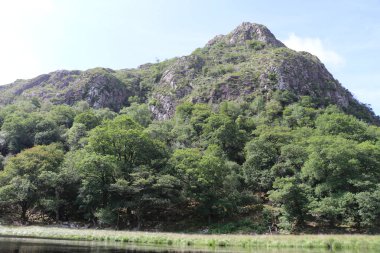 Killarney Ulusal Parkı, İrlanda