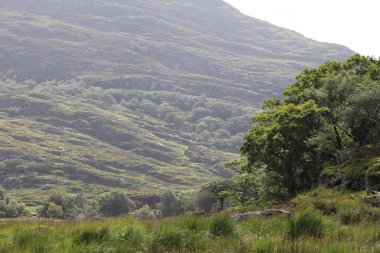 Killarney Ulusal Parkı, İrlanda