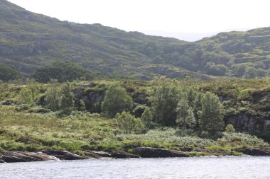 Killarney Ulusal Parkı, İrlanda