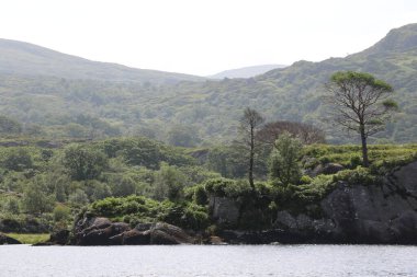Killarney Ulusal Parkı, İrlanda