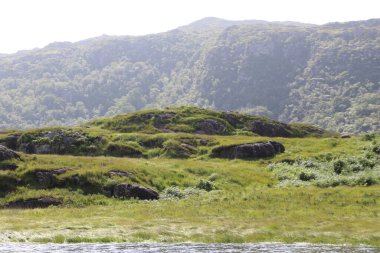 Killarney Ulusal Parkı, İrlanda