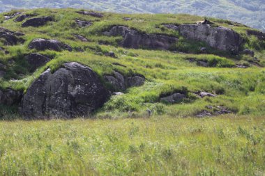 Killarney Ulusal Parkı, İrlanda