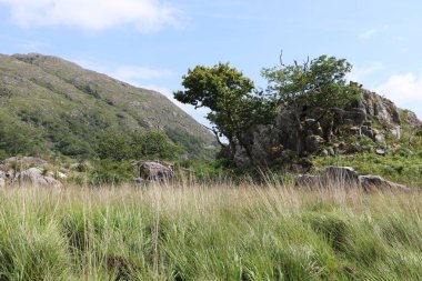 Killarney Ulusal Parkı, İrlanda