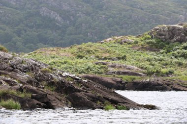 Killarney Ulusal Parkı, İrlanda
