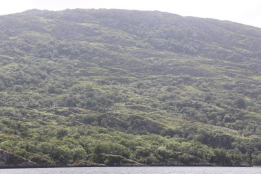 Killarney Ulusal Parkı, İrlanda