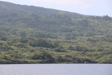 Killarney Ulusal Parkı, İrlanda