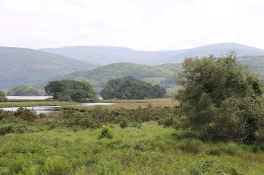 Killarney Ulusal Parkı, İrlanda