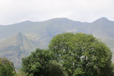 Killarney Ulusal Parkı, İrlanda