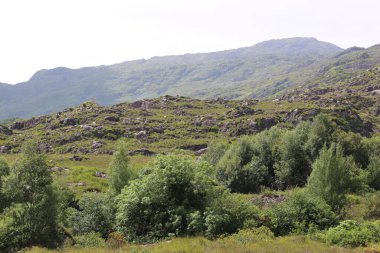 Killarney Ulusal Parkı, İrlanda
