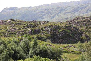 Killarney Ulusal Parkı, İrlanda