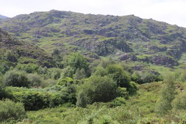 Killarney Ulusal Parkı, İrlanda