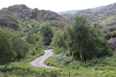 Killarney Ulusal Parkı, İrlanda