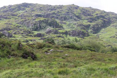 Killarney Ulusal Parkı, İrlanda