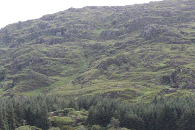 Killarney Ulusal Parkı, İrlanda