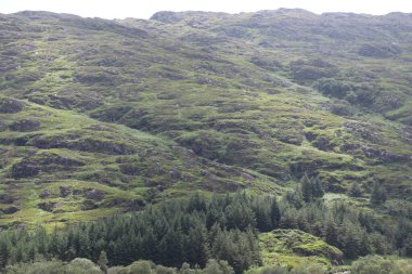 Killarney Ulusal Parkı, İrlanda