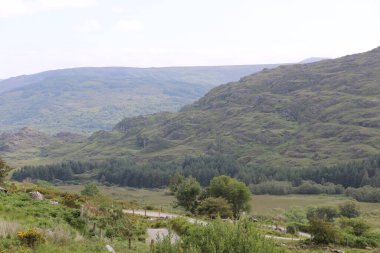 Killarney Ulusal Parkı, İrlanda