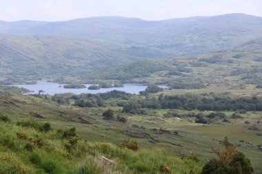 Killarney Ulusal Parkı, İrlanda
