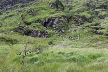Killarney Ulusal Parkı, İrlanda