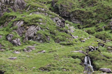 Killarney Ulusal Parkı, İrlanda