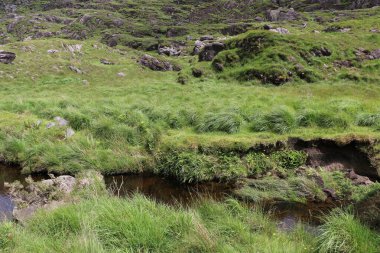 İrlanda 'daki Killarney Ulusal Parkı