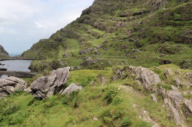 İrlanda 'daki Killarney Ulusal Parkı