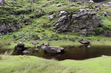 İrlanda 'daki Killarney Ulusal Parkı
