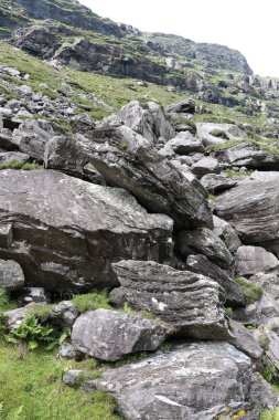 İrlanda 'daki Killarney Ulusal Parkı
