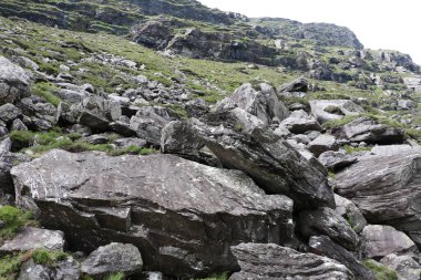 İrlanda 'daki Killarney Ulusal Parkı