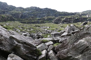 İrlanda 'daki Killarney Ulusal Parkı